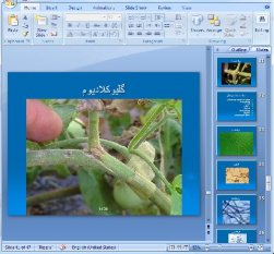 دانلود پاورپوینت بيماری بوته ميری گياه گوجه فرنگی - 47 اسلاید