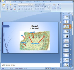 دانلود پاورپوینت فصل 12 علوم پایه نهم دنیای گیاهان - 25 اسلاید