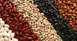دانلود پاورپوینت اثر استفاده از عناصر کم مصرف بر خصوصیات تغذیه ای دانه در لوبیا