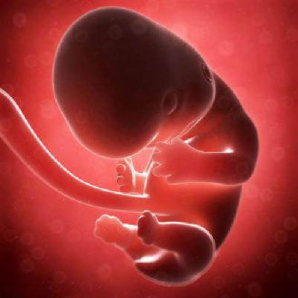 مکمل اسید فولیک در دوران زایمان زودرس و خطر ابتلا به پره اکلامپسی، برای فرزندان در سن حاملگی و بارداری کم مدت