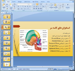 دانلود پاورپوینت استخوان شناسی- 21 اسلاید